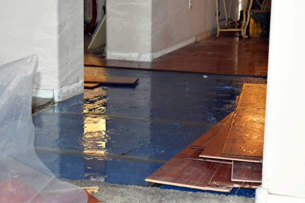 Professional Sewage Cleanup technician working in Chester, MA